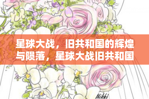 星球大战旧共和国的辉煌与陨落图片