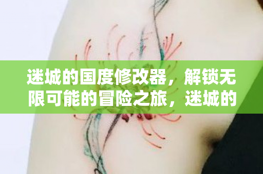 迷城的国度修改器,解锁无限可能的冒险之旅,迷城的国度修改器,解锁无限可能的冒险之旅 迷城的国度修改器,解锁无限可能的冒险之旅,迷城的国度修改器,解锁无限可能的冒险之旅