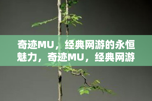 经典网游的永恒魅力图片