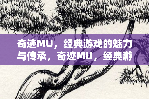 经典游戏的魅力与传承图片