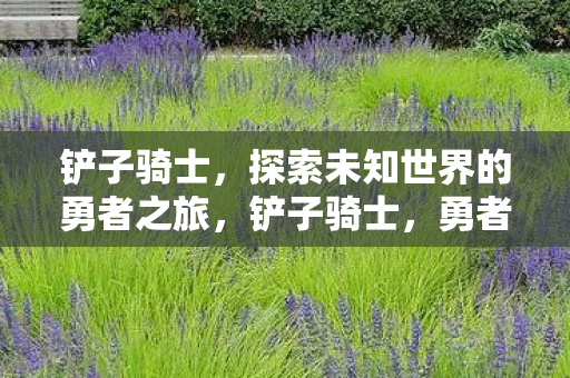 铲子骑士,探索未知世界的勇者之旅,铲子骑士,勇者之旅,探索未知世界 铲子骑士,探索未知世界的勇者之旅,铲子骑士,勇者之旅,探索未知世界