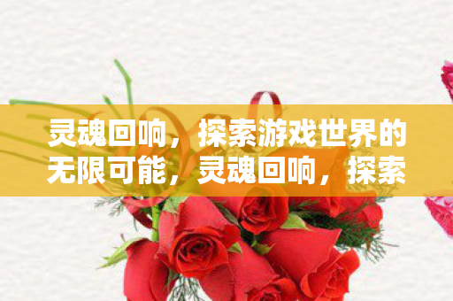 灵魂回响,探索游戏世界的无限可能,灵魂回响,探索游戏世界的无限可能 灵魂回响,探索游戏世界的无限可能,灵魂回响,探索游戏世界的无限可能