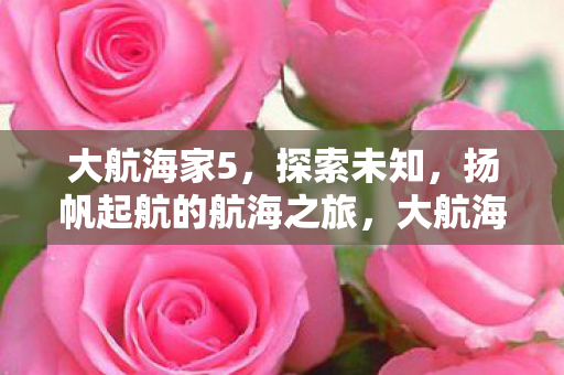 扬帆起航的航海之旅图片