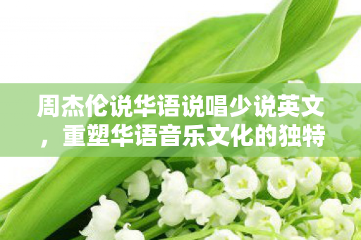 周杰伦说华语说唱少说英文,重塑华语音乐文化的独特韵味,周杰伦呼吁,重塑华语音乐文化,少说英文 周杰伦说华语说唱少说英文,重塑华语音乐文化的独特韵味,周杰伦呼吁,重塑华语音乐文化,少说英文