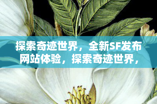 全新SF发布网站体验震撼来袭图片