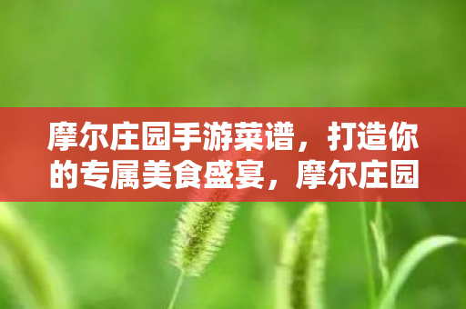 打造你的专属美食盛宴图片