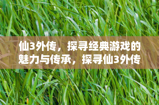 探寻仙3外传经典魅力与传承之道图片
