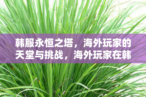 海外玩家在韩服永恒之塔的天堂与挑战图片