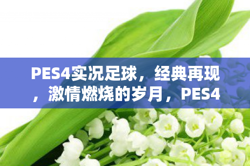PES4实况足球图片
