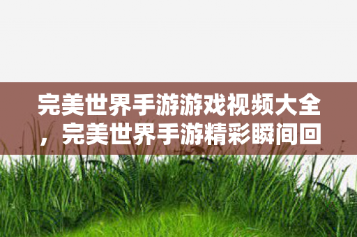 完美世界手游游戏视频大全,完美世界手游精彩瞬间回顾 完美世界手游游戏视频大全,完美世界手游精彩瞬间回顾