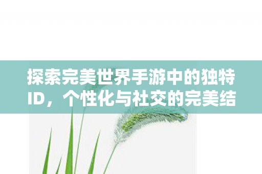 探索完美世界手游中的独特ID图片
