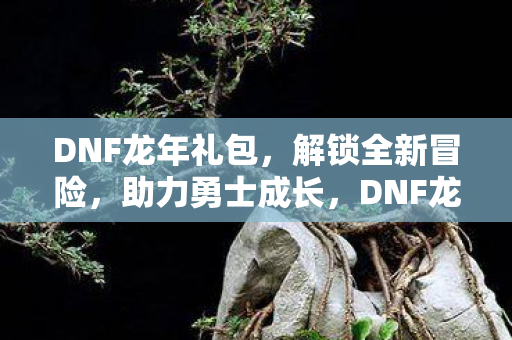DNF龙年礼包助力勇士解锁全新冒险图片