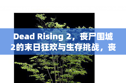 丧尸围城2的末日狂欢与生存挑战图片