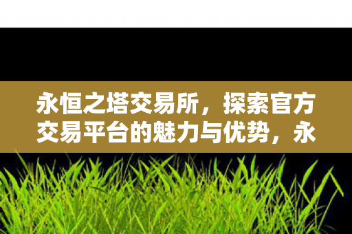 永恒之塔交易所,探索官方交易平台的魅力与优势,永恒之塔交易所,官方交易平台的魅力与优势 永恒之塔交易所,探索官方交易平台的魅力与优势,永恒之塔交易所,官方交易平台的魅力与优势