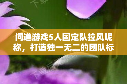 问道游戏5人固定队拉风昵称，打造独一无二的团队标识，问道游戏五人固定队炫酷昵称，塑造专属团队风采