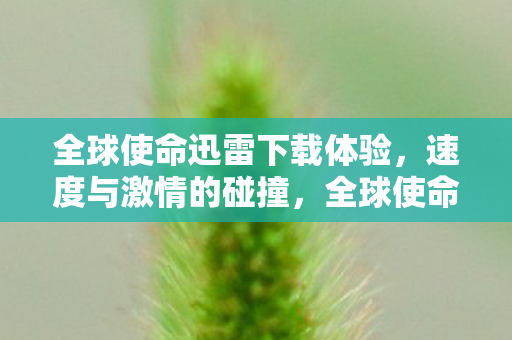 全球使命迅雷下载体验图片