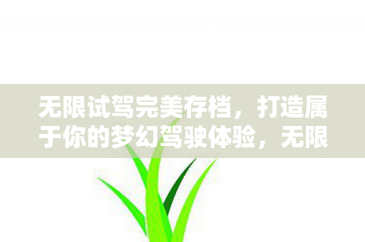 打造属于你的梦幻驾驶体验图片