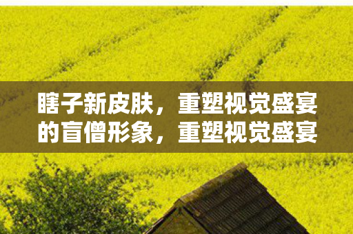 重塑视觉盛宴的盲僧形象图片
