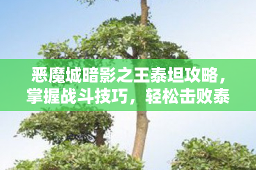 恶魔城暗影之王泰坦攻略图片