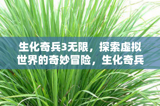 生化奇兵3无限，探索虚拟世界的奇妙冒险，生化奇兵3，无限探索虚拟世界的奇妙冒险