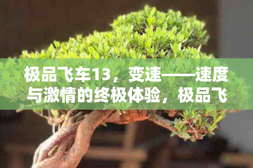 极品飞车13,变速——速度与激情的终极体验,极品飞车13,变速——速度与激情的终极体验 极品飞车13,变速——速度与激情的终极体验,极品飞车13,变速——速度与激情的终极体验