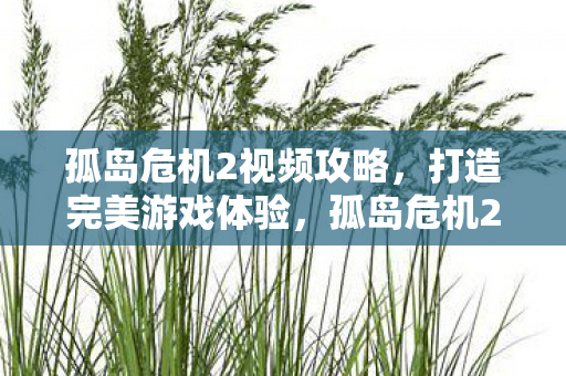 孤岛危机2视频攻略图片