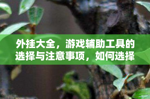 如何选择游戏辅助工具及注意事项图片