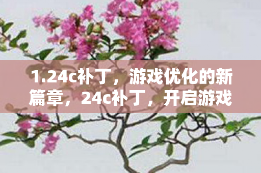 开启游戏优化新篇章图片