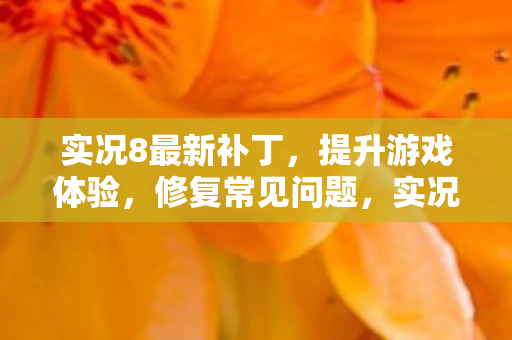 实况8最新补丁发布图片
