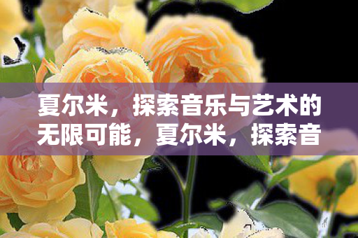 探索音乐与艺术的无限可能图片