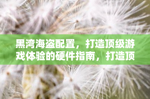打造顶级游戏体验的硬件指南图片
