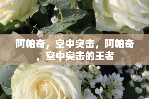 阿帕奇，空中突击，阿帕奇，空中突击的王者