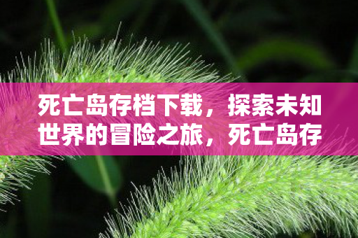 开启探索未知世界的冒险之旅图片