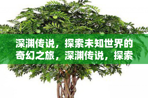 探索未知世界的奇幻之旅图片