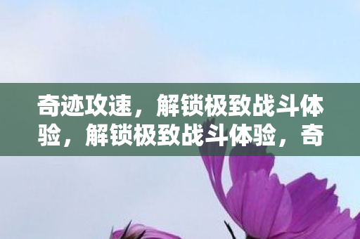 奇迹攻速,解锁极致战斗体验,解锁极致战斗体验,奇迹攻速来袭 奇迹攻速,解锁极致战斗体验,解锁极致战斗体验,奇迹攻速来袭