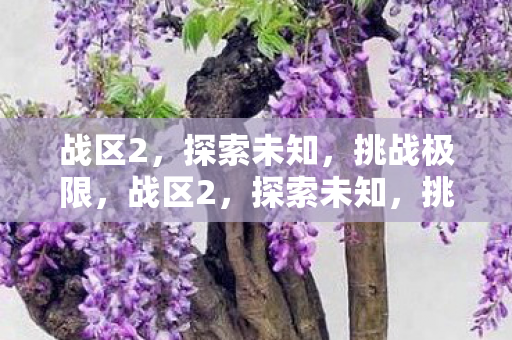 战区2,探索未知,挑战极限,战区2,探索未知,挑战极限 战区2,探索未知,挑战极限,战区2,探索未知,挑战极限