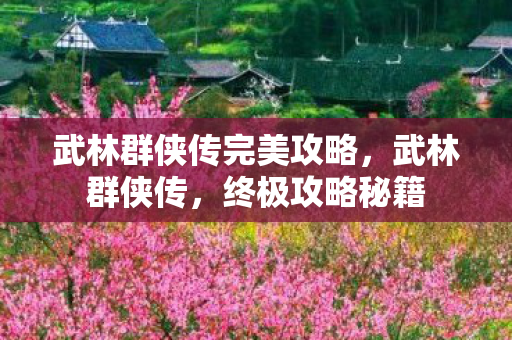 武林群侠传完美攻略,武林群侠传,终极攻略秘籍 武林群侠传完美攻略,武林群侠传,终极攻略秘籍