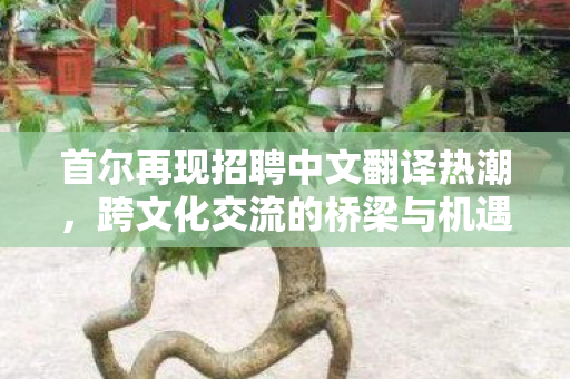 首尔再现招聘中文翻译热潮图片