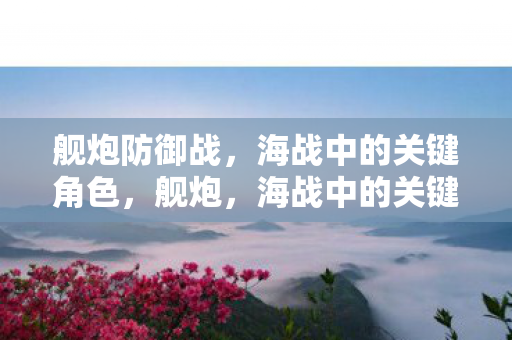 海战中的关键防御利器图片