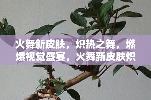 火舞新皮肤炽热之舞燃爆视觉盛宴图片