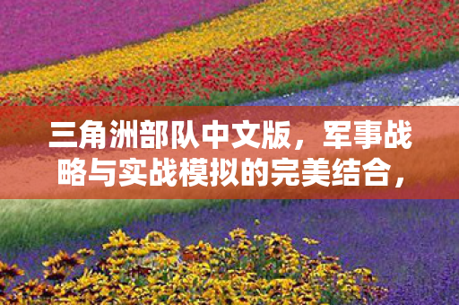 三角洲部队中文版,军事战略与实战模拟的完美结合,三角洲部队中文版,军事战略与实战模拟的完美融合 三角洲部队中文版,军事战略与实战模拟的完美结合,三角洲部队中文版,军事战略与实战模拟的完美融合