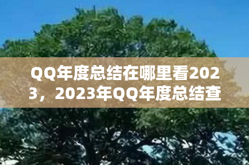 2023年QQ年度总结查看攻略图片