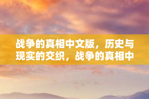 战争的真相中文版图片