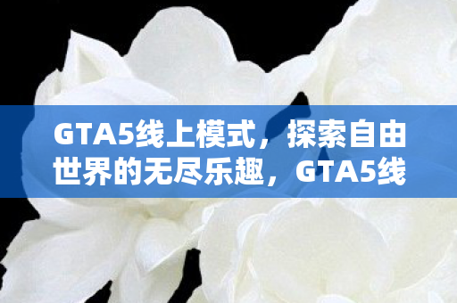 探索自由世界的无尽乐趣图片