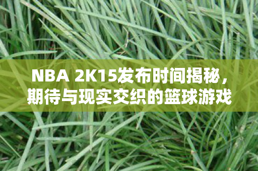 期待与现实交织的篮球游戏盛宴发布时间揭秘图片