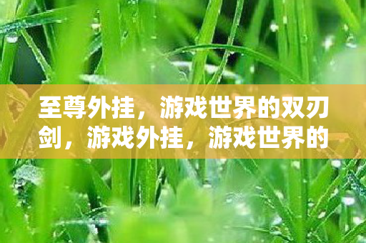 游戏世界的双刃剑图片