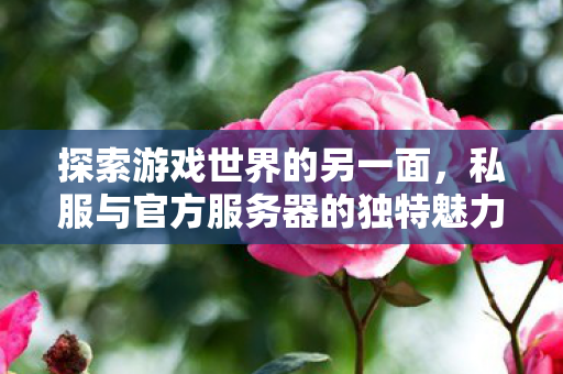 私服与官方服务器的独特魅力图片
