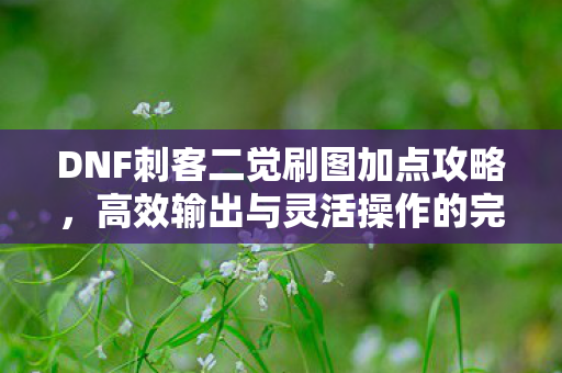 DNF刺客二觉高效刷图加点攻略图片