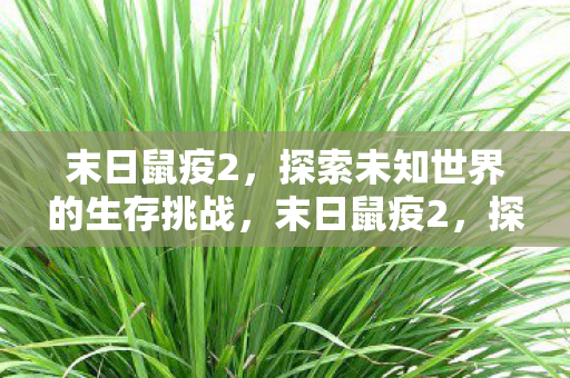 末日鼠疫2,探索未知世界的生存挑战,末日鼠疫2,探索未知世界的生存挑战 末日鼠疫2,探索未知世界的生存挑战,末日鼠疫2,探索未知世界的生存挑战