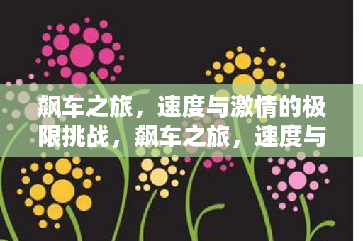 速度与激情的极限挑战图片